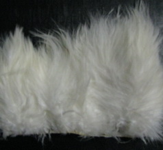 Spey ���� ����� ( ����� �������� � ������ ) White